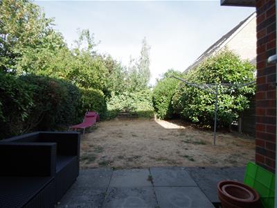 Picture 11